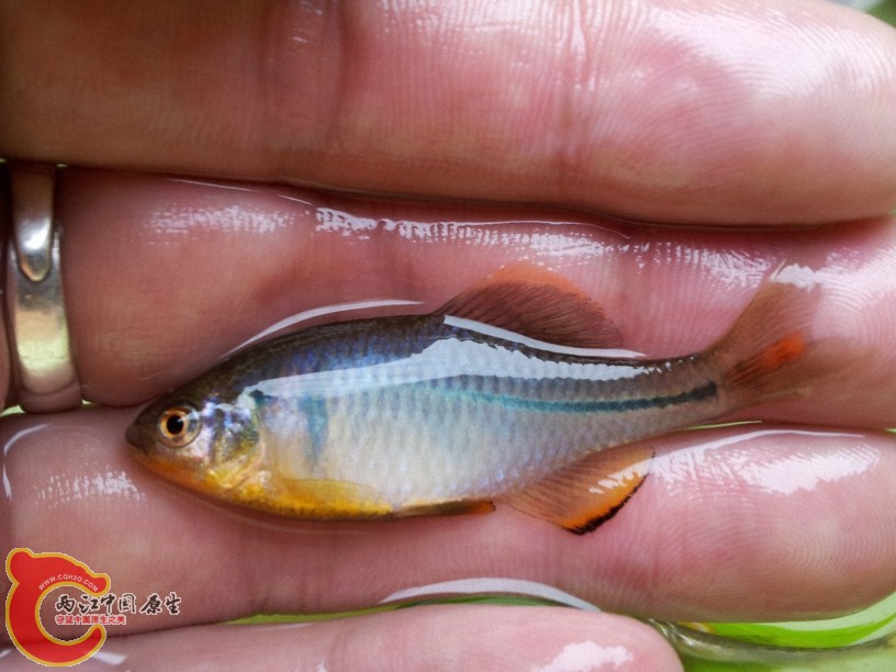 2012-05-15 13.00.16.jpg