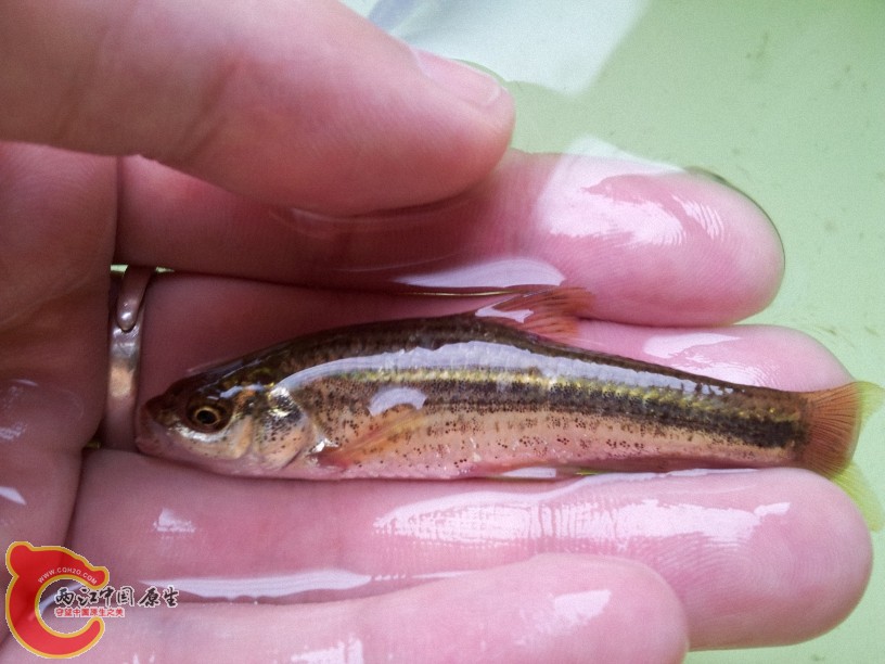 2012-05-15 13.04.08.jpg