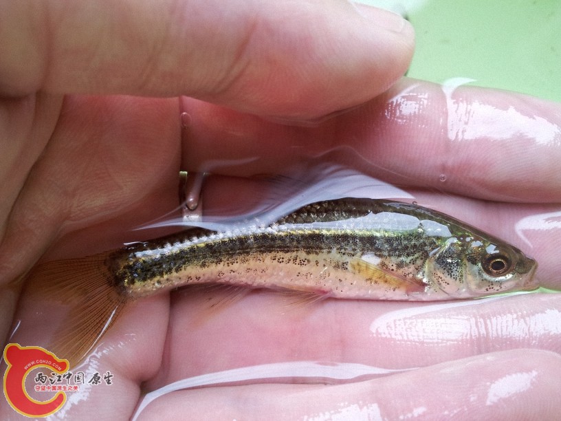 2012-05-15 13.05.05.jpg