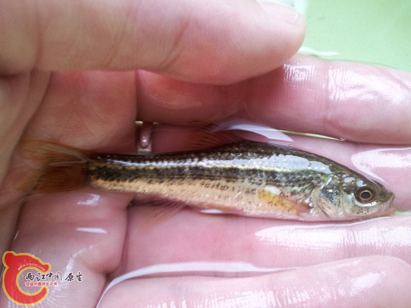 2012-05-15 13.05.12.jpg