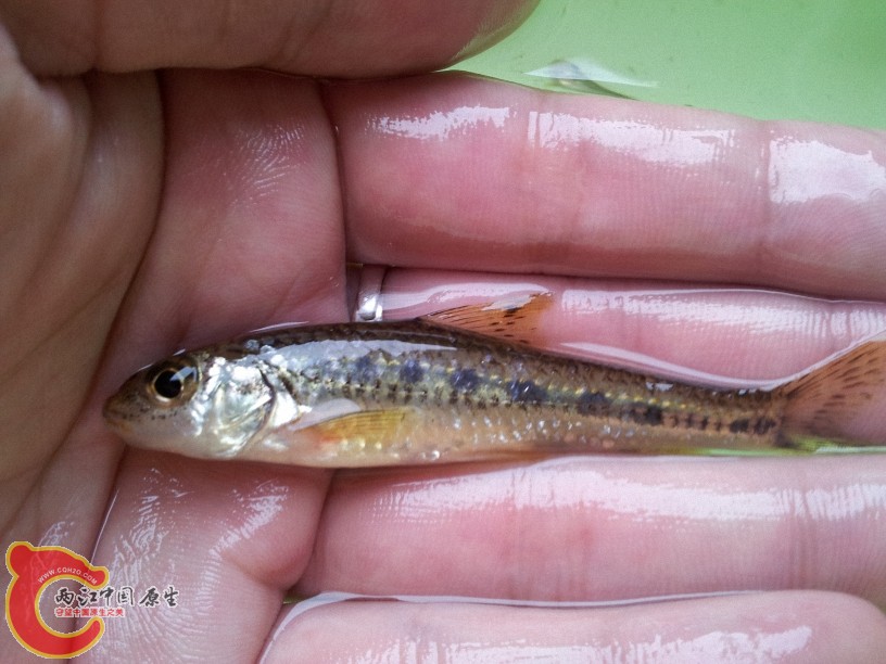 2012-05-15 13.06.01.jpg