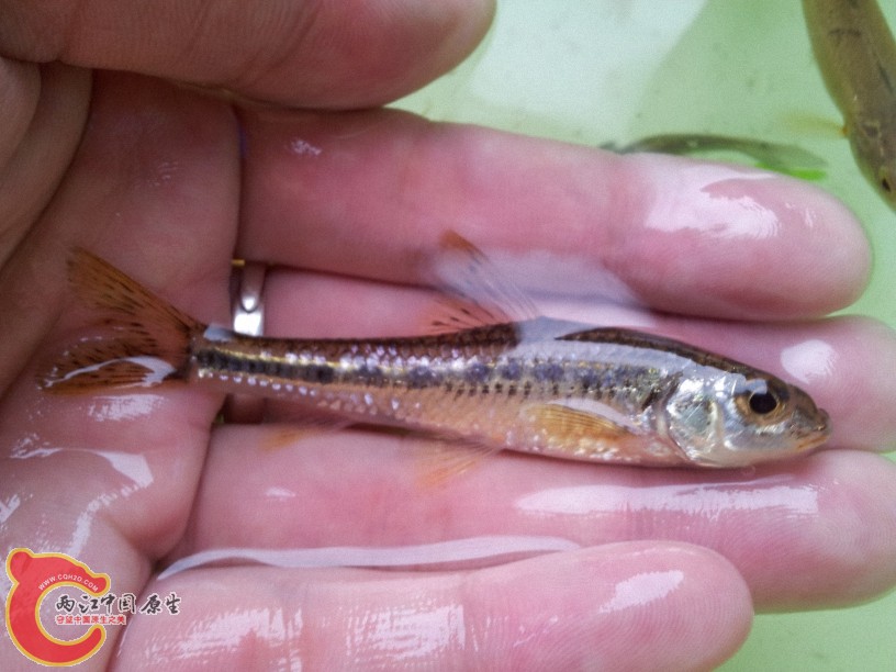 2012-05-15 13.06.11.jpg