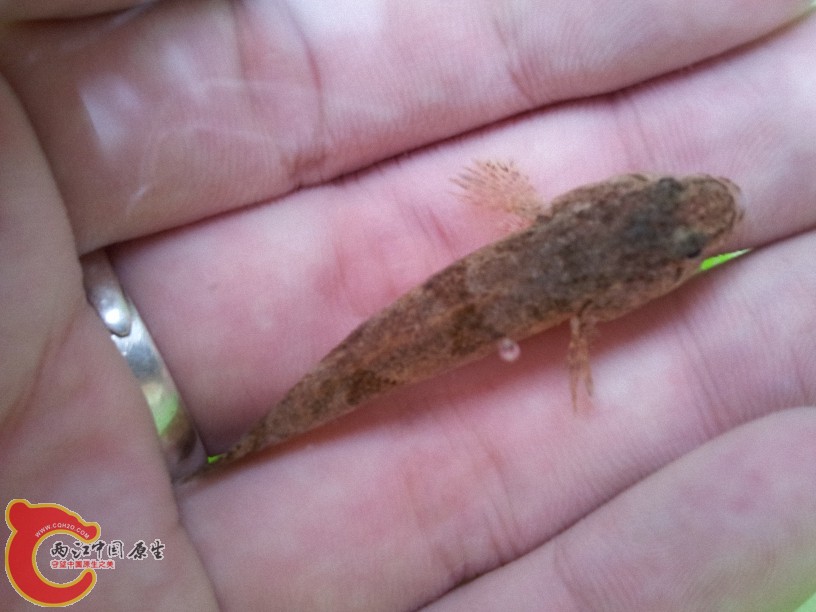 2012-05-15 13.07.14.jpg