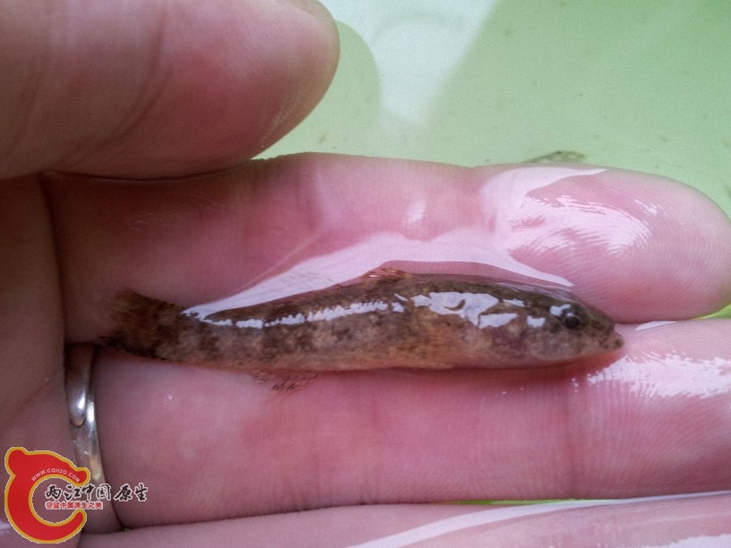 2012-05-15 13.07.33.jpg