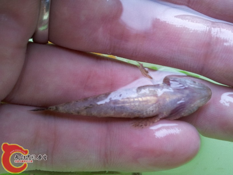 2012-05-15 13.07.40.jpg