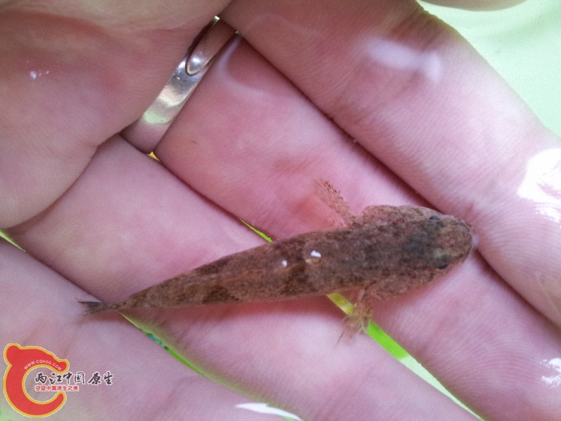 2012-05-15 13.07.52.jpg