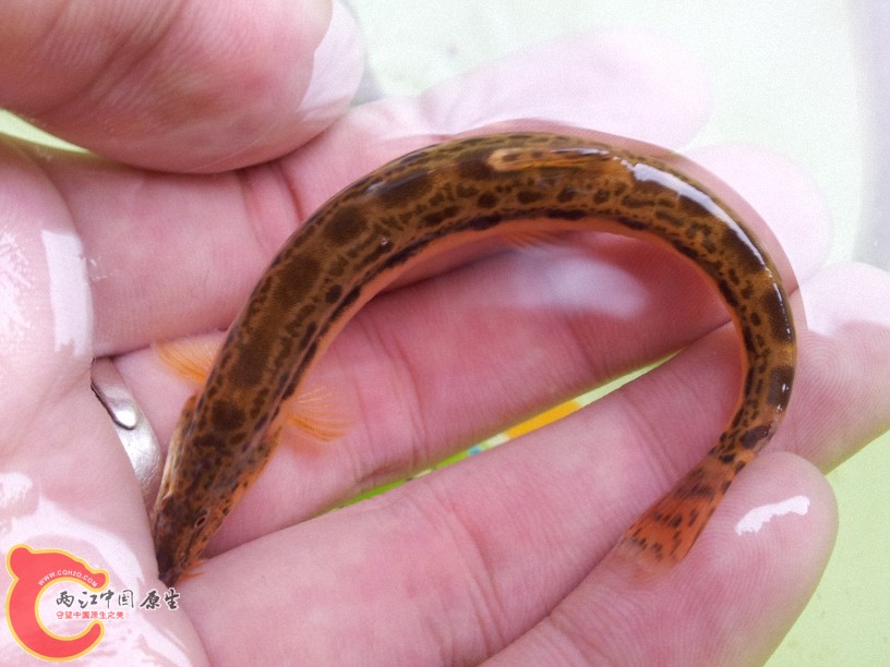 2012-05-15 13.09.57.jpg