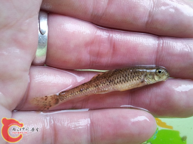 2012-05-15 13.10.32.jpg