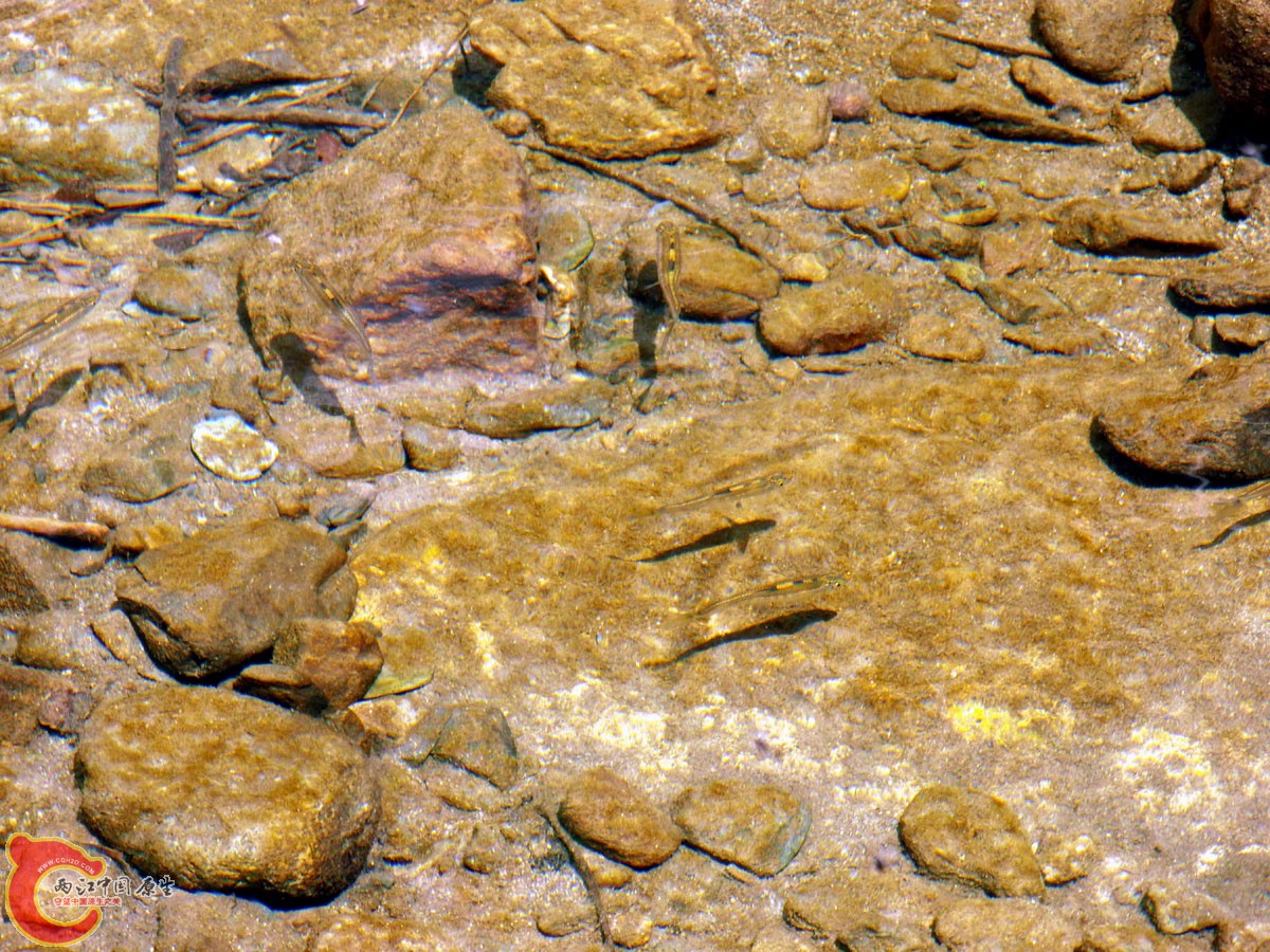 z07.jpg