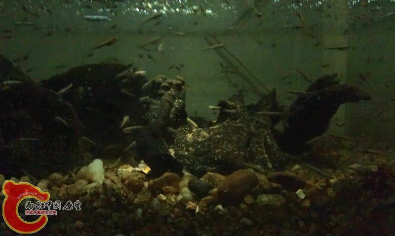 IMAG0362.jpg