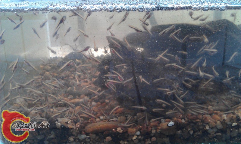 IMAG0367.jpg
