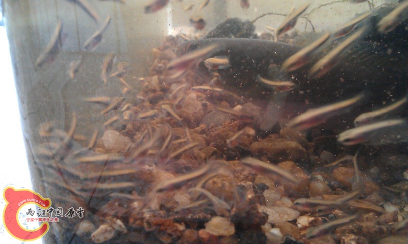IMAG0368.jpg