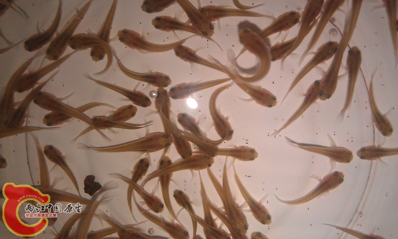 IMAG0379.jpg