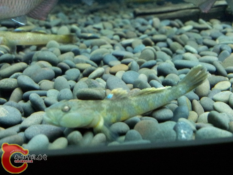 2012-05-15 19.02.51.jpg