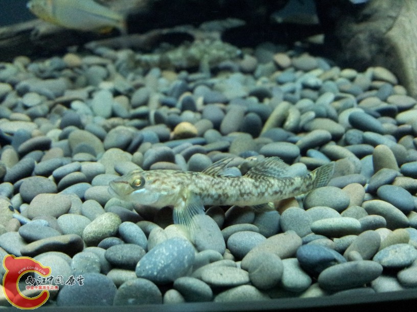 2012-05-15 19.07.12.jpg