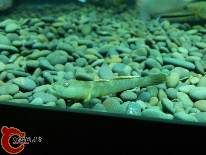 2012-05-15 19.08.45.jpg