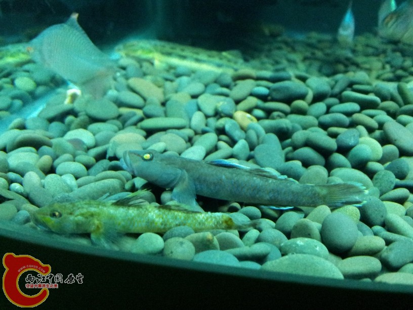 2012-05-15 19.09.00.jpg