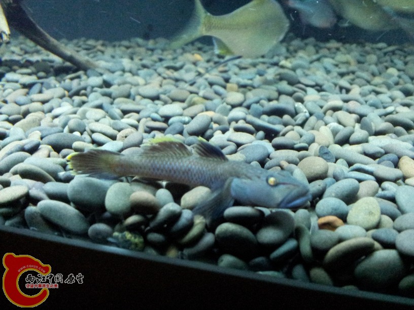 2012-05-15 19.10.39.jpg