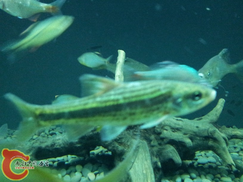 2012-05-15 19.12.30.jpg