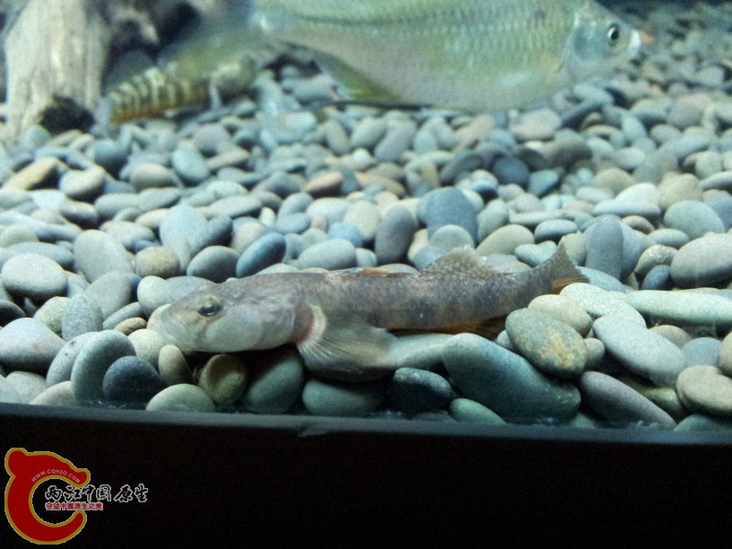 2012-05-15 19.19.37.jpg