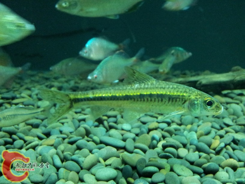 2012-05-15 19.19.52.jpg