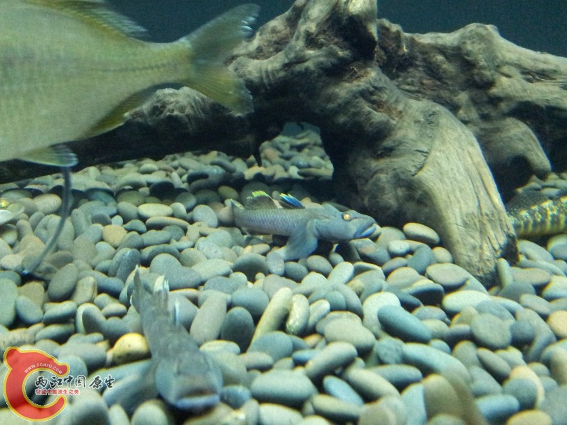 2012-05-15 19.20.16.jpg