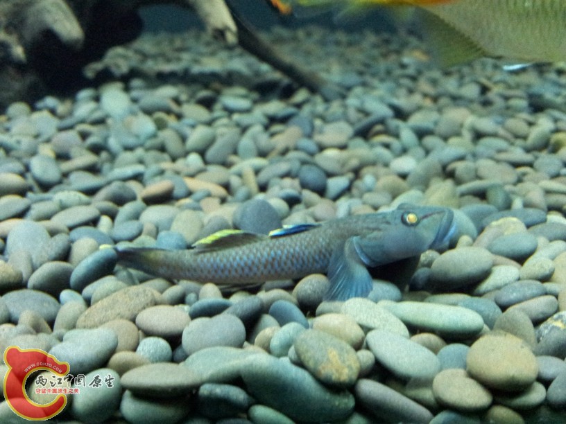 2012-05-15 19.21.35.jpg