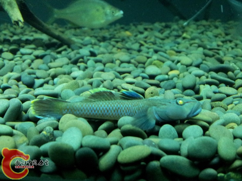 2012-05-15 19.22.17.jpg