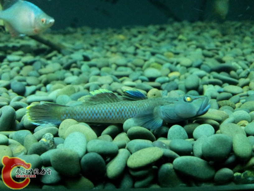 2012-05-15 19.22.25.jpg