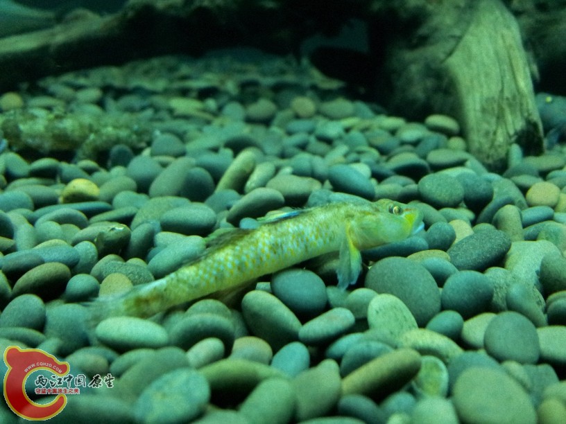 2012-05-15 19.22.57.jpg