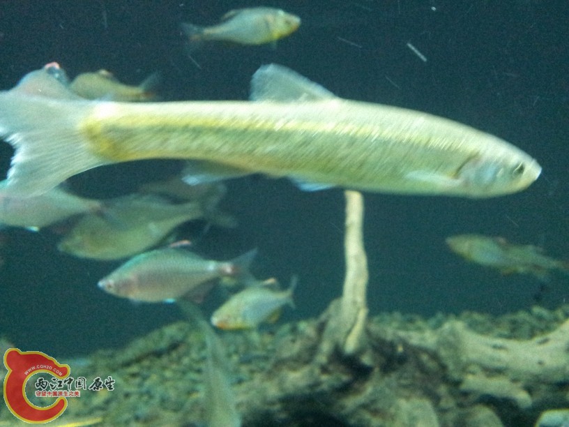 2012-05-15 19.26.22.jpg