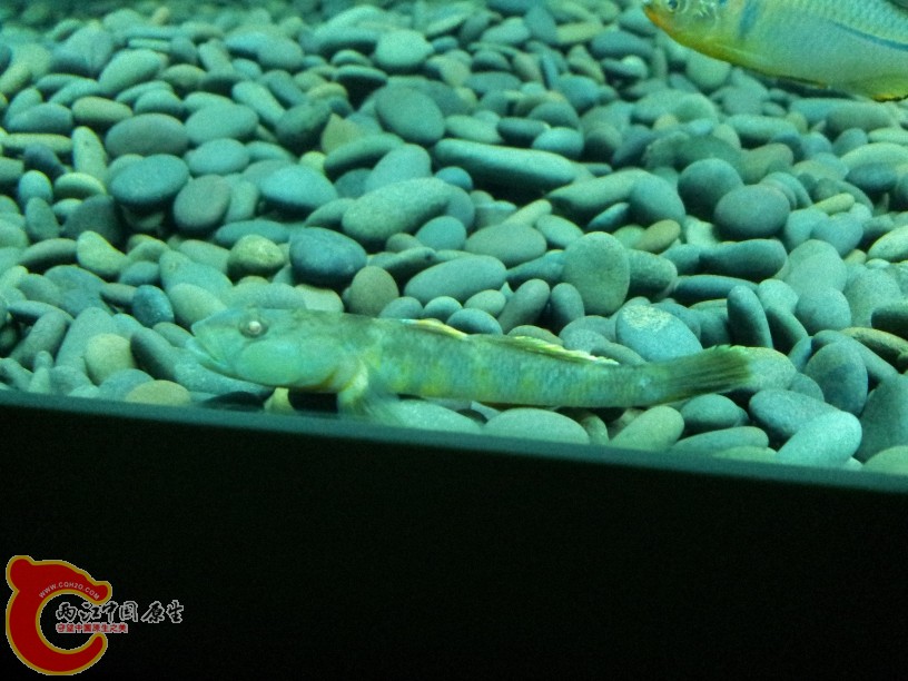 2012-05-15 19.29.15.jpg