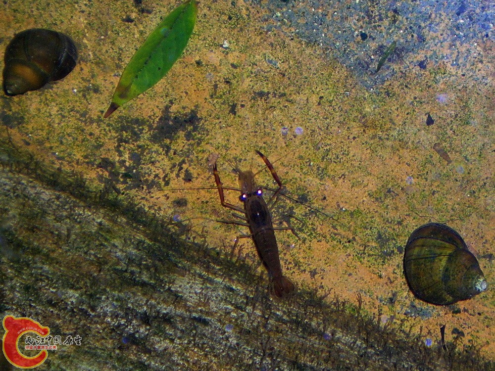 DSCN3878.JPG