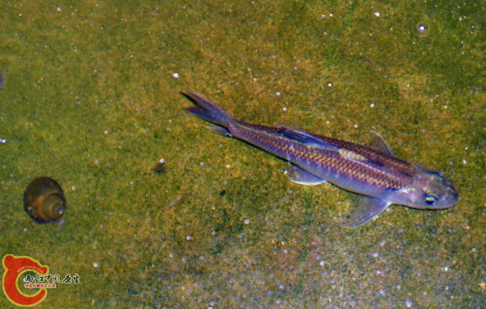 DSCN3882.JPG