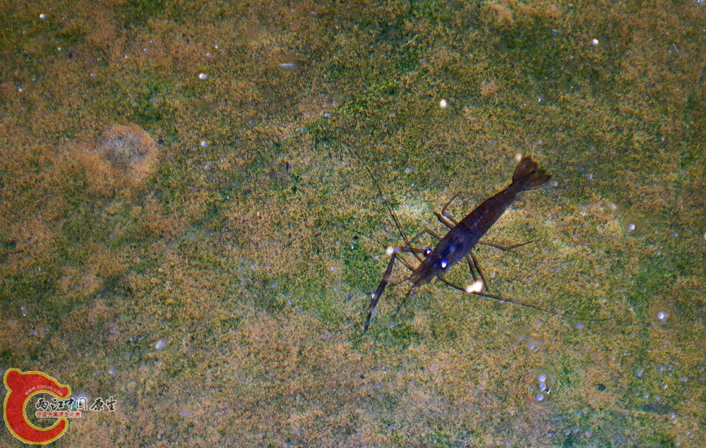 DSCN3885.JPG