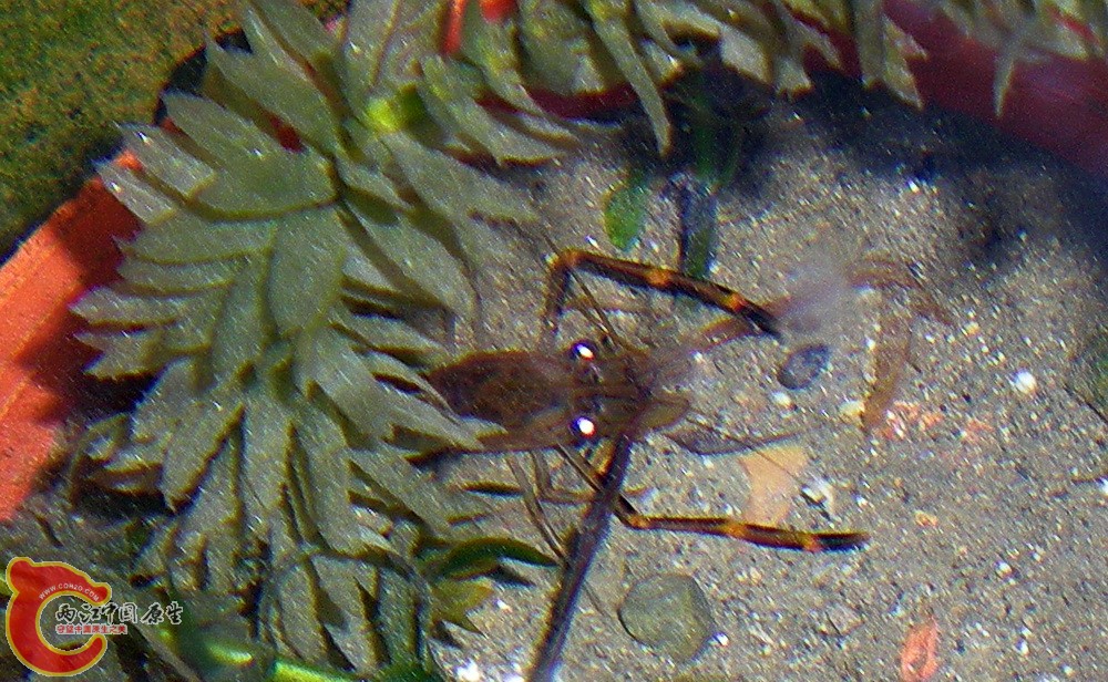 DSCN3887.JPG