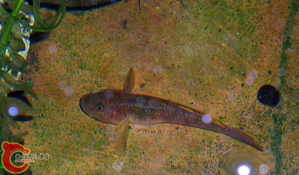 DSCN3900.JPG