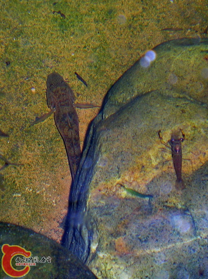 DSCN3901.JPG