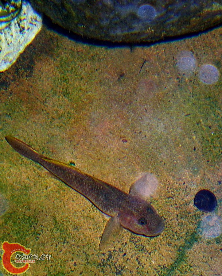 DSCN3905.JPG