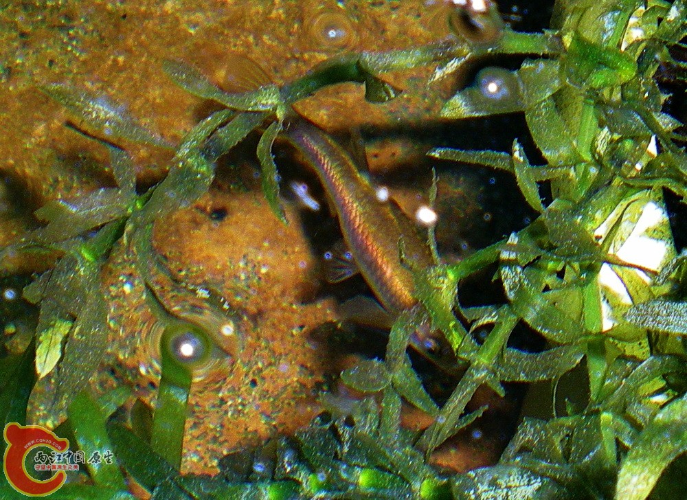 DSCN3909.JPG