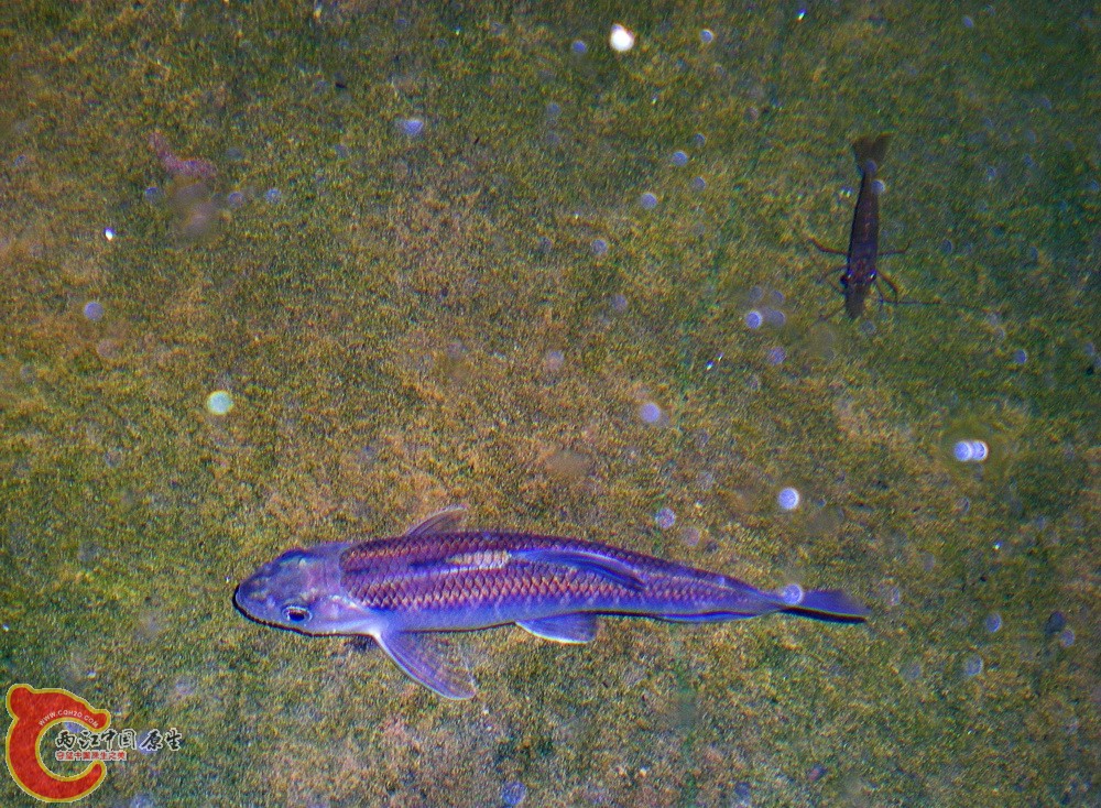 DSCN3921.JPG