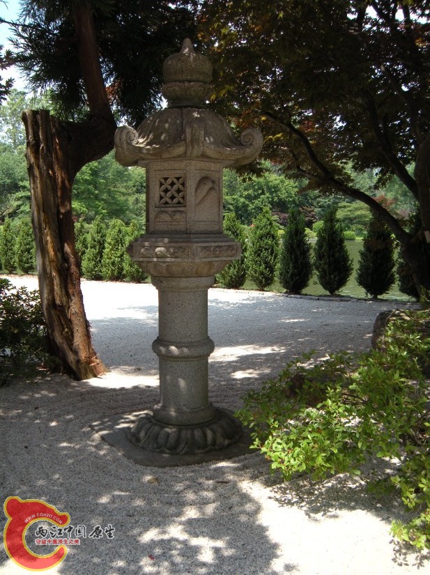 56.jpg