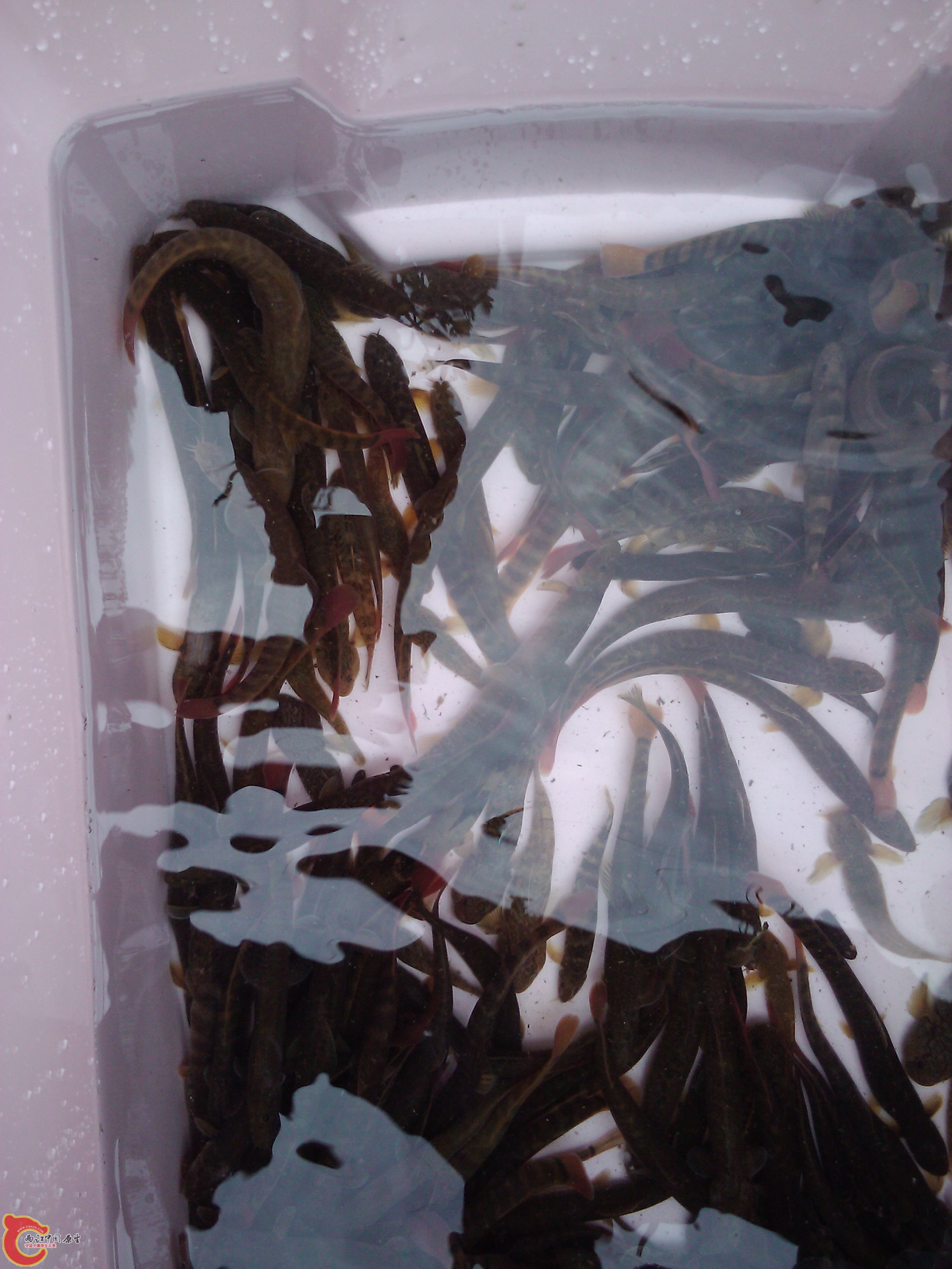 2012-04-08 10.53.36.jpg