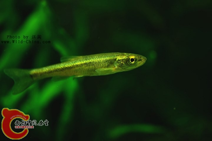 large_pgJw_686d00000020118e.jpg