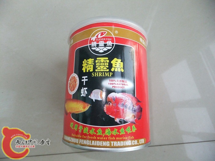 DSCF5519.JPG