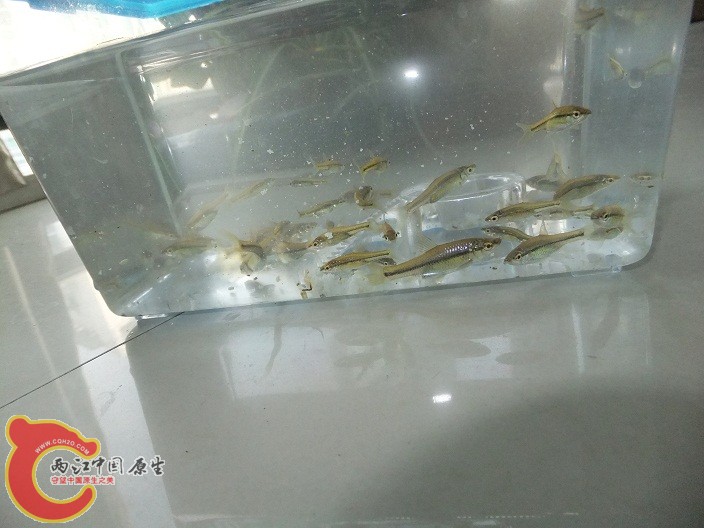 DSCF5523.JPG