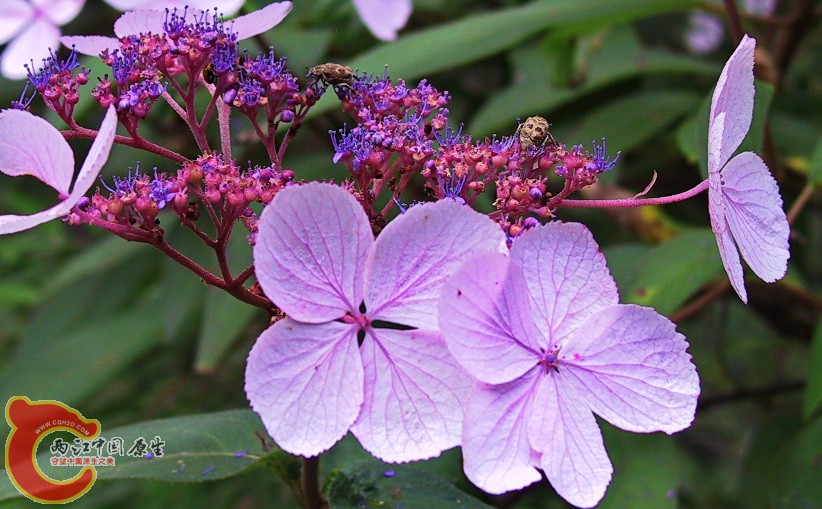 106-0675_IMG.JPG