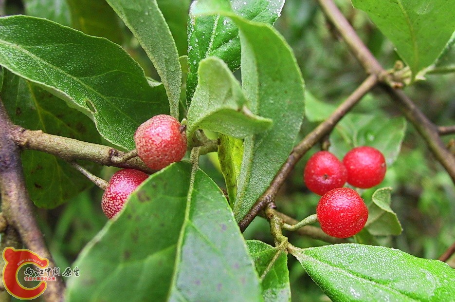 107-0706_IMG.JPG