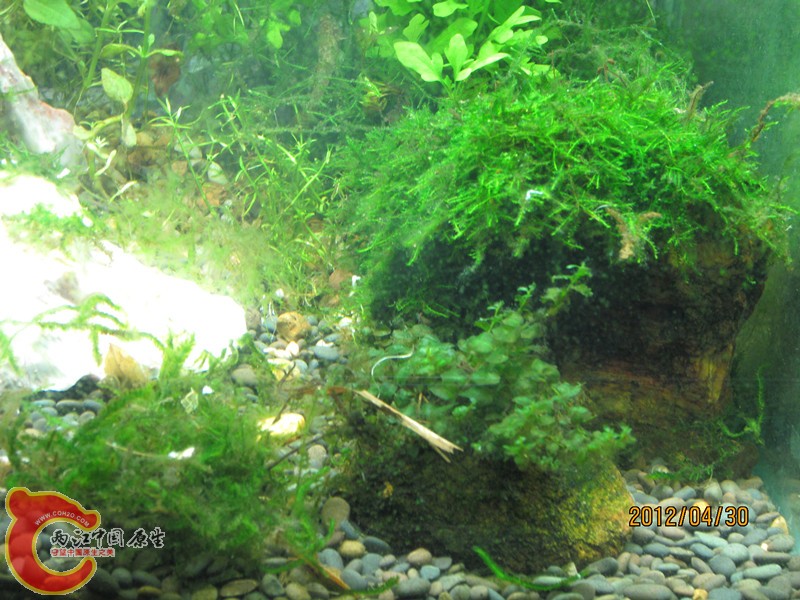 照片 3942_副本.jpg