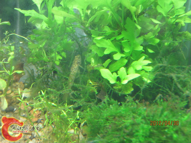 照片 3947_副本.jpg